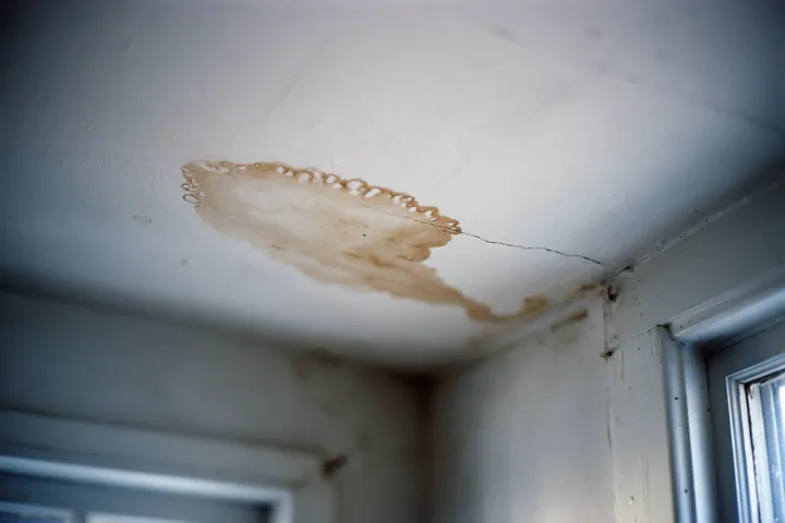 A water stain spreading across a plaster ceiling, the paint lifted at its edge.